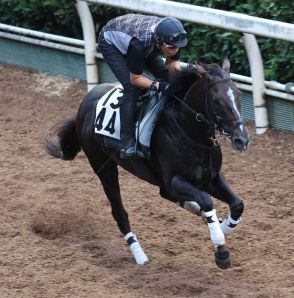 【関屋記念】ディオ　鋭い伸び見せた、辻野師「動きとしては合格点」