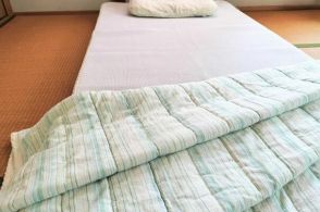 寝具の「ダニ」を増やさないためのコツ！上級睡眠健康指導士おすすめの方法は？