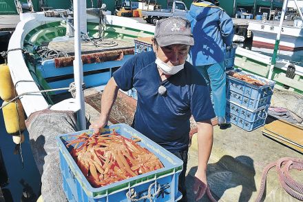 富山湾の不漁、長期化恐れ　ベニズワイやシロエビ　県調査、地震の海底地滑り影響