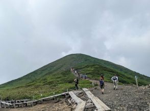 秋田の名峰「秋田駒ヶ岳」 8合目から約1時間半で登頂OK!　夏の花トレッキング「現地レポ」