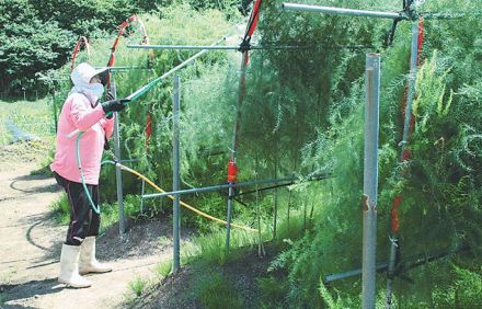 収穫待つ畑を奪った大雨　発災から2週間　山形県最上地方ルポ