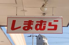 【しまむら】今から秋まで着回したい！1969円の「透け感アウター」体型カバーにもなってオシャレです《着用レビュー》