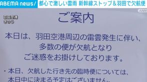 都心で激しい雷雨 新幹線は運転見合わせ 羽田空港では欠航便も