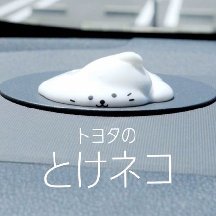 トヨタ、車内熱中症の危険性を訴求するプロジェクト「トヨタのとけネコ」 夏の車内の暑さを“溶けるネコ”で表現