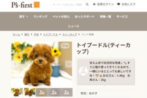 ペット業界大手「ペッツファースト」が法令違反か　「出生日偽装」疑惑を専門家が覆面調査すると“驚きの実態”が