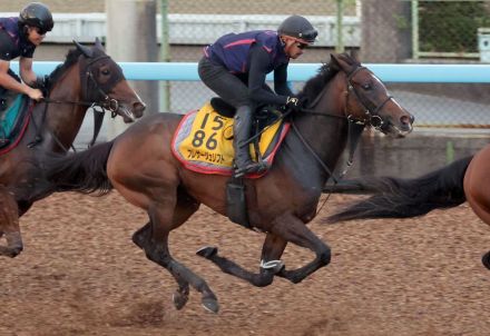 【関屋記念　厩舎の話】プレサージュリフト・太田助手「あと２つ、３つタイトルを獲らせてあげたい」