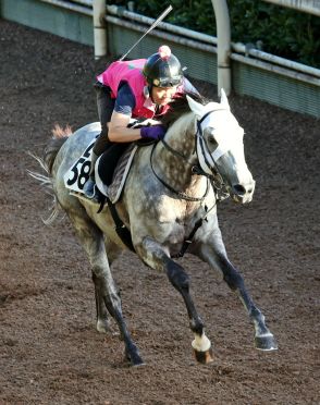 【小倉記念】格上挑戦のヴェローナシチーが坂路で鋭い伸び　重賞初制覇へ佐々木調教師「重賞の方が絶対楽しい」