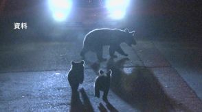 【クマ出没情報】庭先にクマ3頭、近くの住宅の軒下にも1頭　喜多方市塩川町　7日夜　福島