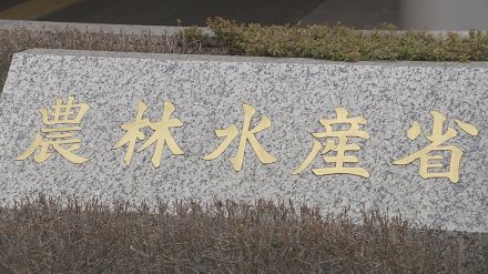 2023年度食料自給率38％　3年連続同じ低い数字　国産原料で作られる砂糖の量が減ったことなどから