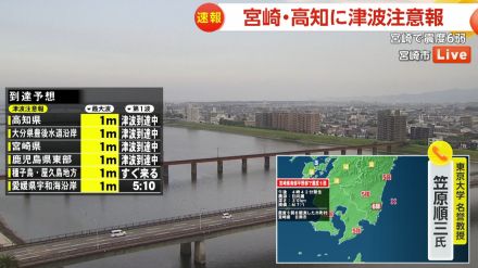 「第2波、第3波にも注意」宮崎港50cm、土佐清水20cmなど沿岸への津波到達が観測…宮崎南部で震度6弱　南海トラフとの関連は