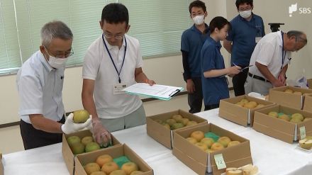 「夏場に雨が少なかったが非常においしい梨ができた」「幸水」23点出品静岡県産の梨品評会=静岡・富士市