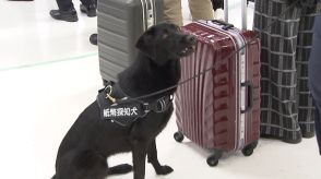 国内税関で初紙幣探知犬を導入　不正な現金の国外持ち出し防止へ　取り締まり強化