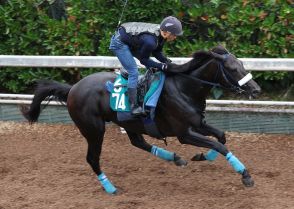 【中京新馬戦】リビングストン　迫力ある動き　吉岡師「大きな競馬場も合う」