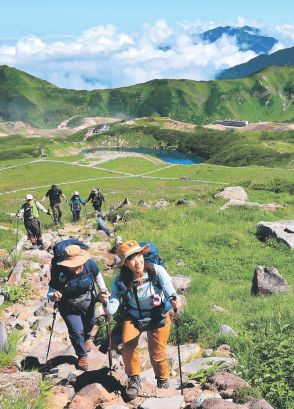 立山・室堂平 緑の向こうに雲海