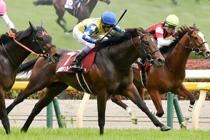 シュガークンは有馬記念を大目標に　菊花賞は見送り　キタサンブラックに続く兄弟制覇狙う【次走報】