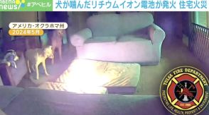 どうしよう、燃えちゃったよ…犬が噛んだリチウムイオン電池、発火の瞬間 アメリカ