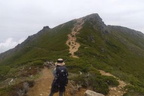 2つの顔を持つ八ヶ岳「天狗岳」 苔むす道＆ゴロゴロ岩稜帯「登山レポ」意外な野生動物との出会いも!