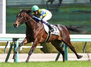 キタサンブラック半弟シュガークンは菊花賞を見送り　暑さを考慮し夏は休養　有馬記念が大目標