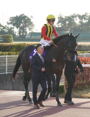 韓国国際競走の予備登録馬発表　コリアＣにクラウンプライド、コリアスプリントにリメイクなど