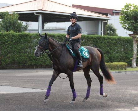 【今週の注目新馬】３代母はダンスパートナー　カムニャック不安材料なし／日曜中京５Ｒ