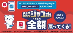 ウエルシアでPayPay、抽選で最大全額還元キャンペーン