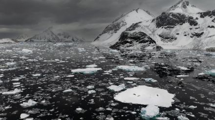 南極大陸で「驚異的な」熱波続く、平年を１０度上回る地域も