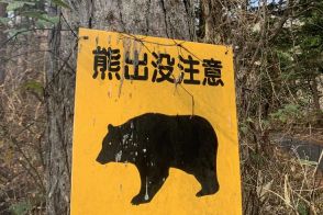 【遺体の損傷が酷く遺族は直視できなかった】殺人クマの被害が急増！次は「夏のキャンプ場」でゴミの管理をしない学生とファミリーがヤバい