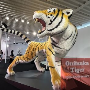 「オニツカタイガー」が75周年で大規展覧会　アイコンシューズや巨大な虎のオブジェなど