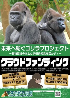 ゴリラCFに1600万円集まる　飼育環境改善に千葉市動物公園　第1目標クリア、展示場に植樹