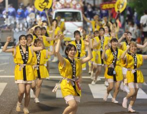 三原やっさ祭りが開幕　踊る1600人、熱気包む