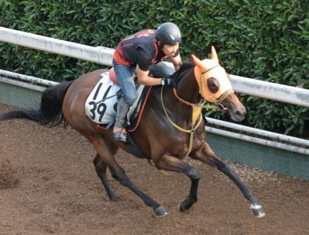 【小倉記念】「馬齢」と「血統」から浮上する“馬券圏内が濃厚”な2頭