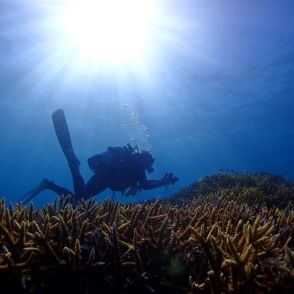 深海に行くなら必須⁉【最強のダイバーズウオッチ】圧力は指先に馬1頭分⁉水深5000mの世界