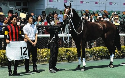 【中京5R新馬】エイシンワンド、デビュー戦制す 幸「ここからどこまで行ってくれるか楽しみな馬」