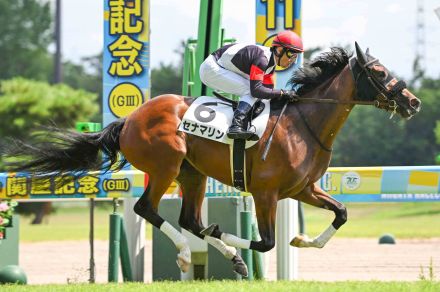 断然人気セナマリンが４馬身差完勝　戸崎圭「センスのある馬です」【新潟６Ｒ・２歳新馬】