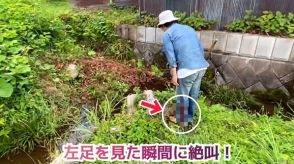 野山を散策中、パンツの中に違和感→ズボンをめくると……　身の毛がよだつ“流血沙汰”の大惨事に「怖っ」「草むらは危険」