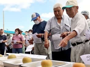 「幸水」糖度高く大きめ　富山で呉羽梨目ぞろい会、１１日初出荷