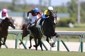 【新馬/中京5R】単勝1.2倍カムニャックがデビュー戦を快勝