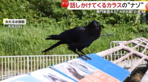 【カラス語】撮影者に「カァ!グルルル」　専門家「トドの鳴きまね」と指摘…比較すると確かに似てる!?　北海道・小樽市「おたる水族館」