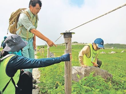 立山の生物多様性守る　ボランテイアら外来植物根絶目指す