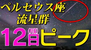 12日（月祝）夜ピーク「ペルセウス流星群」を見よう!夏休みの自由研究もできる