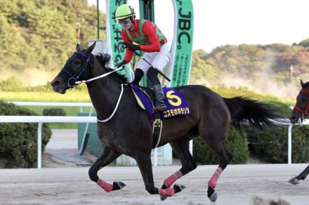 【佐賀競馬・第4回九州チャンピオンシップ】転入初戦のコスモポポラリタが快勝