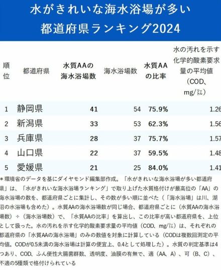 水がきれいな海水浴場が多い都道府県ランキング2024～2位は新潟、6年連続の1位は？