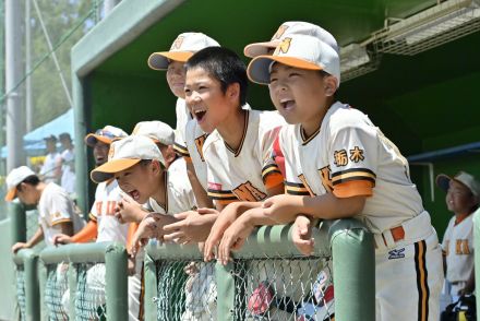 栃木県学童野球大会、熱戦スタート　初日は１回戦32試合