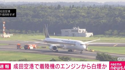 成田空港で着陸機のエンジンから白煙か B滑走路を閉鎖