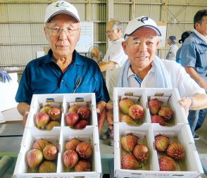 暑いほど甘くなる　埼玉有数のイチジクの産地・加須で出荷始まる　「出来は上々」例年より1週間ほど生育も早い　出火は11月上旬ころまで続く　直売も人気