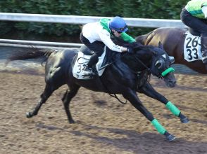 【ＣＢＣ賞・玉木の特注馬】快足アグリが転厩初戦を迎える　杉山晴調教師「気になるところはありません」