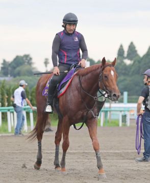 【札幌記念】皐月賞馬ジオグリフは強敵相手の前２走で善戦　陣営「気持ちが途切れずに走る競馬が続いている」