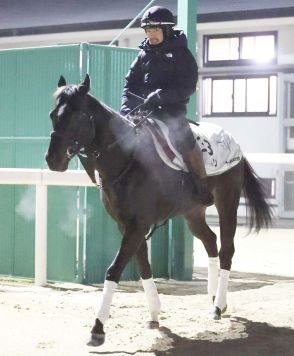 【ＣＢＣ賞】アグリが半年ぶりの実戦迎える　杉山晴調教師「スプリンターズＳが大目標。そこにつながる競馬ができたら」