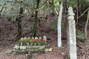 弘法大師も通った高野山への道！　山麓から180町の町石道を歩く