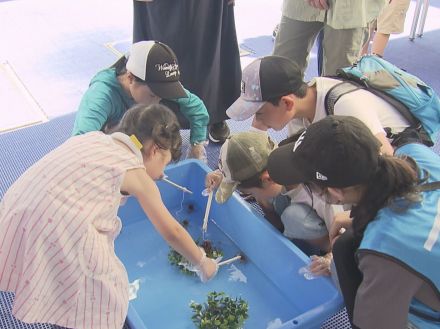 水遊びができる噴水広場など…名古屋・栄のオアシス21で『アクアサマーフェス』ひんやりスイーツも販売